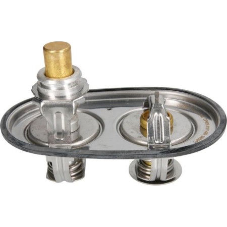 DT Spare Parts 1.11409 - Coolant thermostat / housing