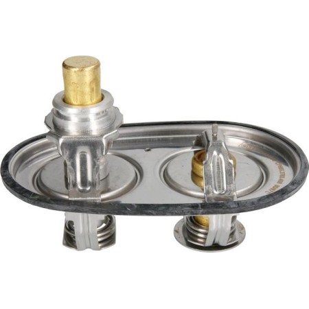 DT Spare Parts 1.11408 - Coolant thermostat / housing