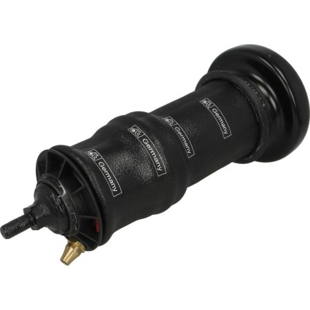 DT Spare Parts 1.25971 - Shock Absorber, cab suspension