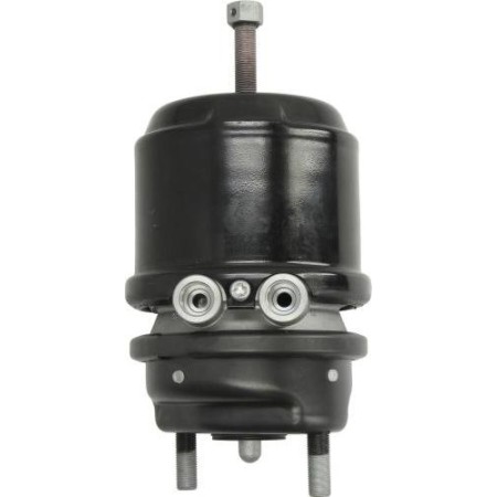 DT Spare Parts 3.74004 - Spring-loaded Cylinder