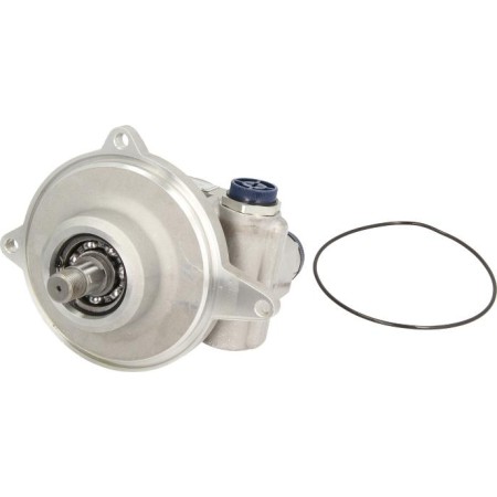 DT Spare Parts 2.53450 - Hydraulic Pump, steering system