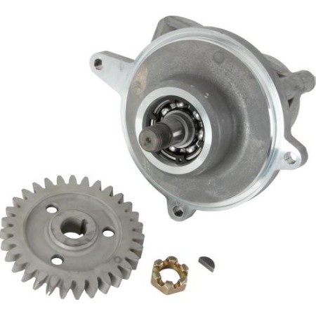 DT Spare Parts 2.53187 - Hydraulic Pump, steering system