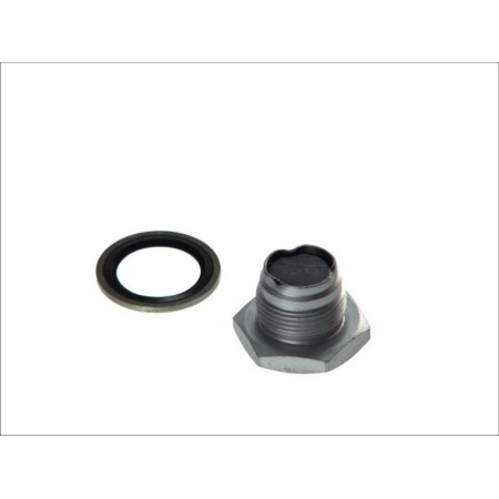 DT Spare Parts 2.11001 - Sealing Plug, oil sump