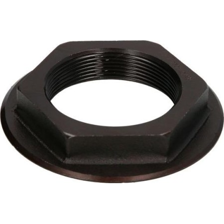 DT Spare Parts 2.35043 - Axle Nut, drive shaft