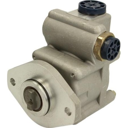 DT Spare Parts 7.13200 - Hydraulic Pump, steering system