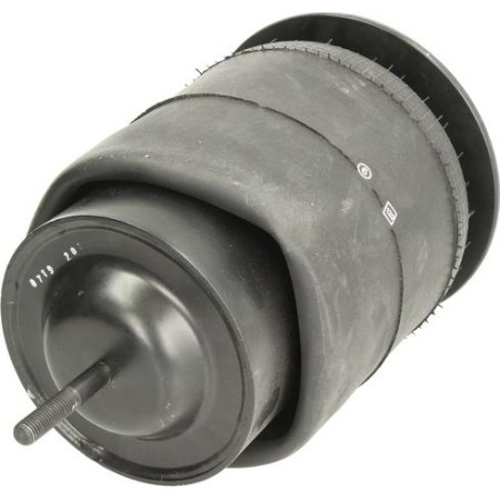 DT Spare Parts 7.12034 - Bellow, air suspension