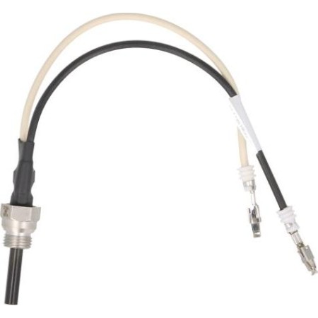 Eberspächer 25 2106 01 10 00 - Glow Plug, parking heater