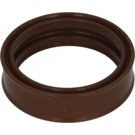 Euroricambi 95532548 - Shaft Seal, manual transmission