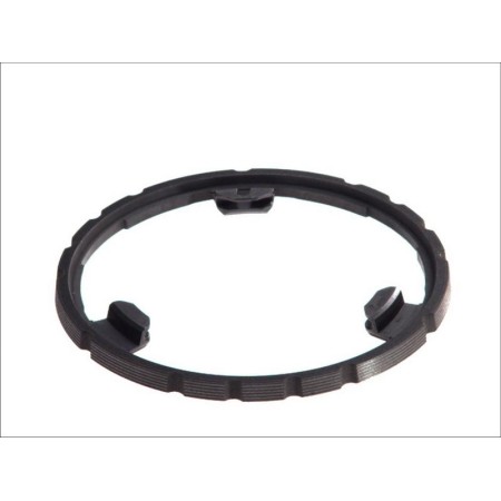 Euroricambi 60530518 - Synchronizer Ring, manual transmission