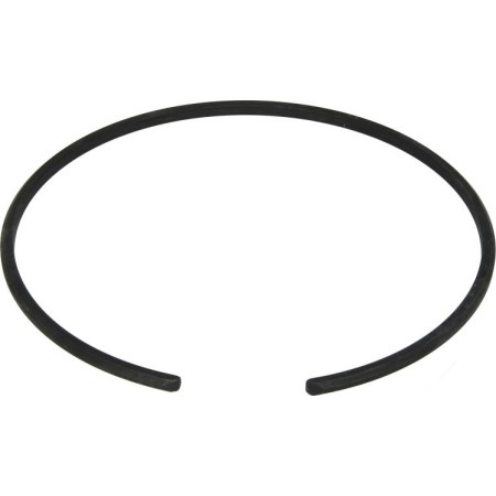 Euroricambi 88531109 - Retaining Ring, wheel rim