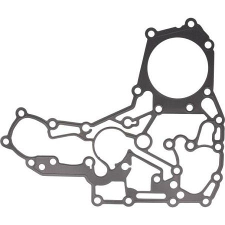 Euroricambi 74530840 - Oil Seal, manual transmission