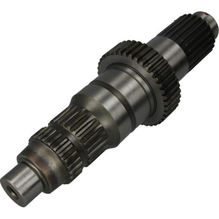 Euroricambi 74171038 - Drive Shaft