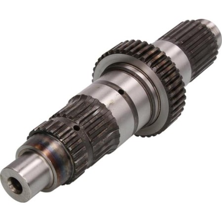 Euroricambi 74171156 - Drive Shaft
