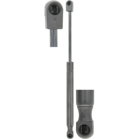 FA KROSNO 31755 - Gas Spring, boot, cargo area