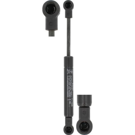 FA KROSNO 23285 - Gas Spring, boot, cargo area