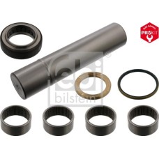 Febi Bilstein 15905 - Juego de reparación, pivote del muñón del eje