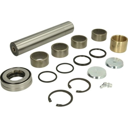 Febi Bilstein 102053 - Repair Kit, kingpin