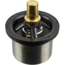 Febi Bilstein 173719 - Termostato, refrigerante