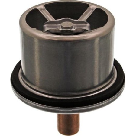 Febi Bilstein 39858 - Coolant thermostat / housing