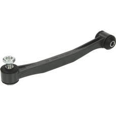 Febi Bilstein FE02891 - Asta / Puntone, Stabilizzatore