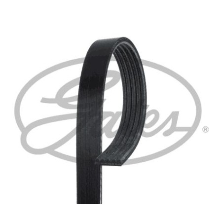 Gates 58405 - V-Ribbed Belt