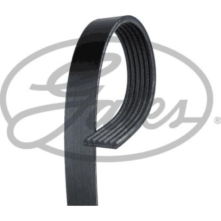 Gates 68343 - V-Ribbed Belt