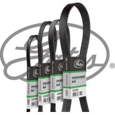 Gates CB0030 - Cinghia trapezoidale