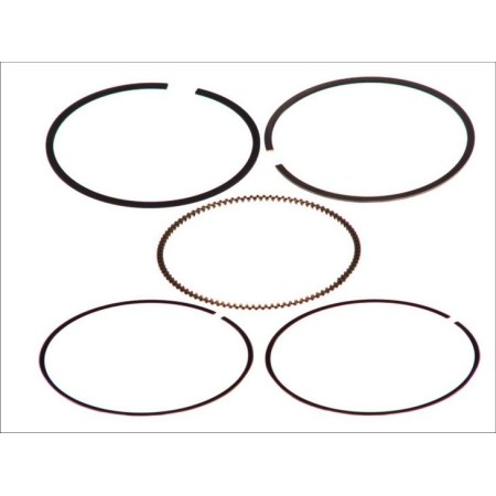 Goetze 08-141200-00 - Piston Ring Kit