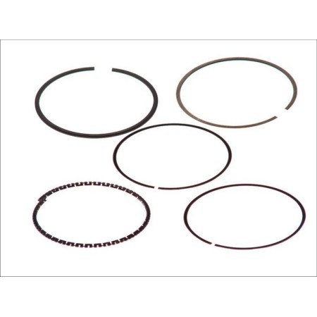 Goetze 08-102300-00 -