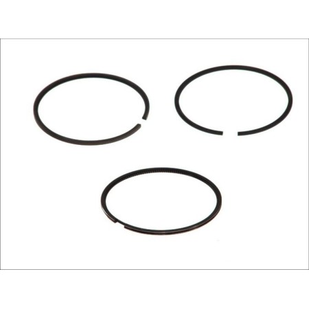 Goetze 08-119800-00 - Piston Ring Kit