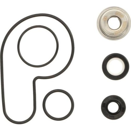 HOT RODS WPK0054 - Repair Kit, water pump