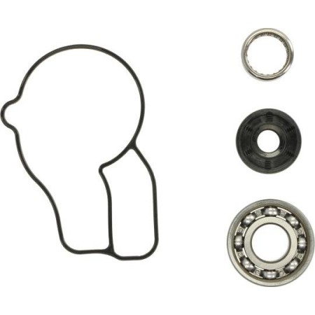 HOT RODS WPK0050 - Repair Kit, water pump