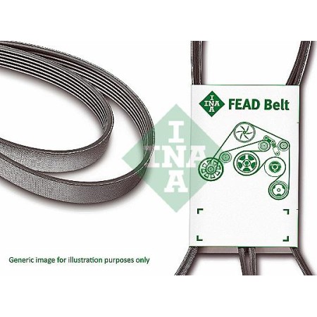 INA FB 8PK3003XD - V-Ribbed Belt