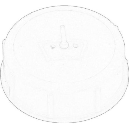 IVECO 504105292 - Sealing Cap, washer fluid tank