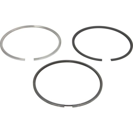 Kolbenschmidt 800076010050 - Piston Ring Kit