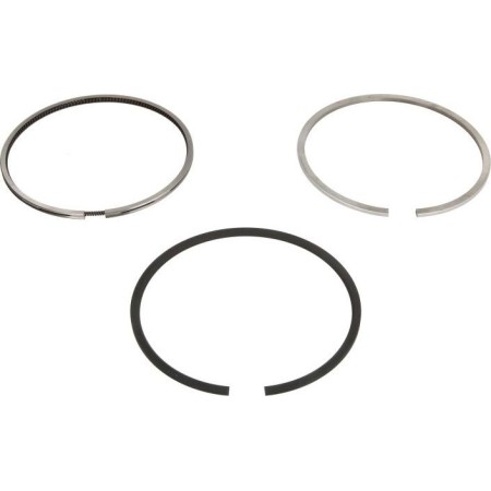 Kolbenschmidt 800077610050 - Piston Ring Kit