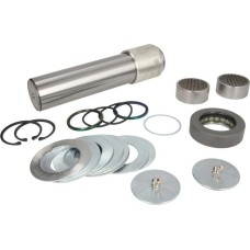 LEMA 303 - Juego de reparación, pivote del muñón del eje