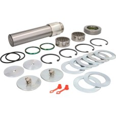 LEMA 313 - Juego de reparación, pivote del muñón del eje