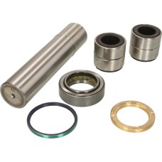 LEMA 221 - Juego de reparación, pivote del muñón del eje