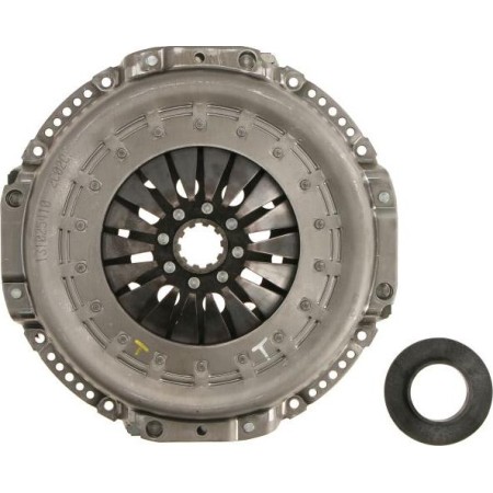 LUK 131 0254 10 - Clutch Pressure Plate