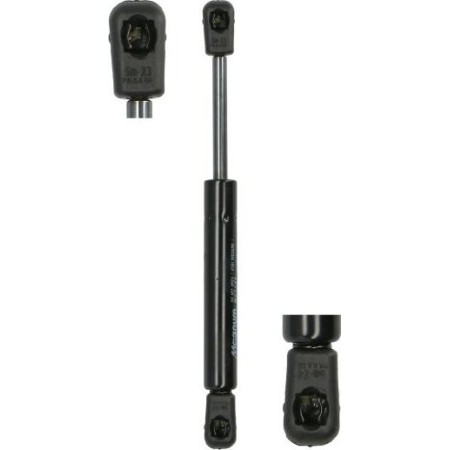 Magnum Technology MGS148 - Gas Spring, door