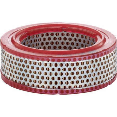 Mann-Filter C 1415 - Air Filter, engine