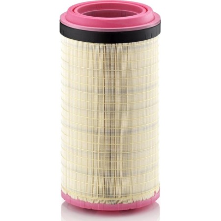 Mann-Filter C 25 900 - Air Filter, engine