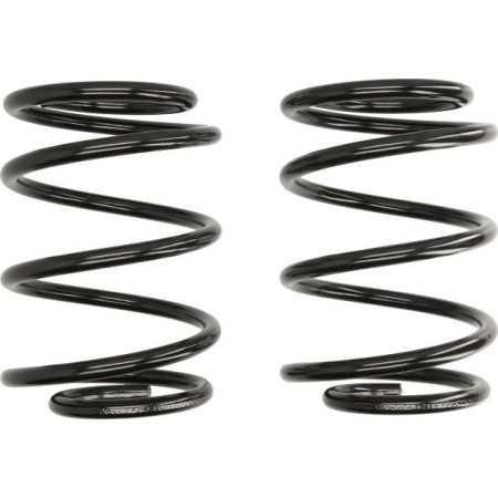 Moog AMG81057 - Suspension Kit, coil springs