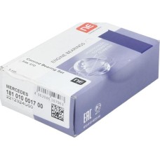 NE 181010001700 - Juego de cojinetes de biela