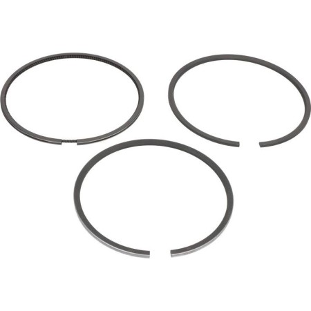 NE 120036000100 - Piston Ring Kit