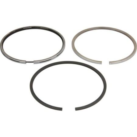 NE 120036002200 - Piston Ring Kit
