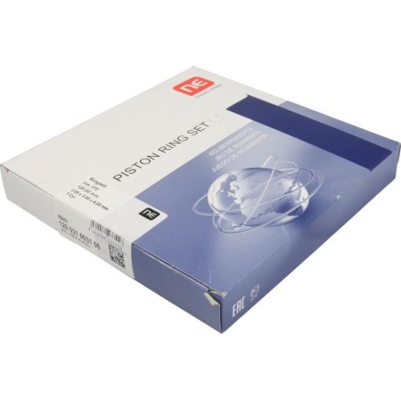 NE 120031003100 - Piston Ring Kit