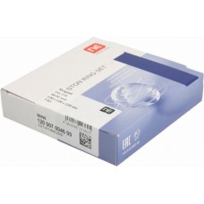 NE 8907530000 - Kolbenringsatz