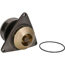 OE Germany 09 2000 C60000 - Wasserpumpe